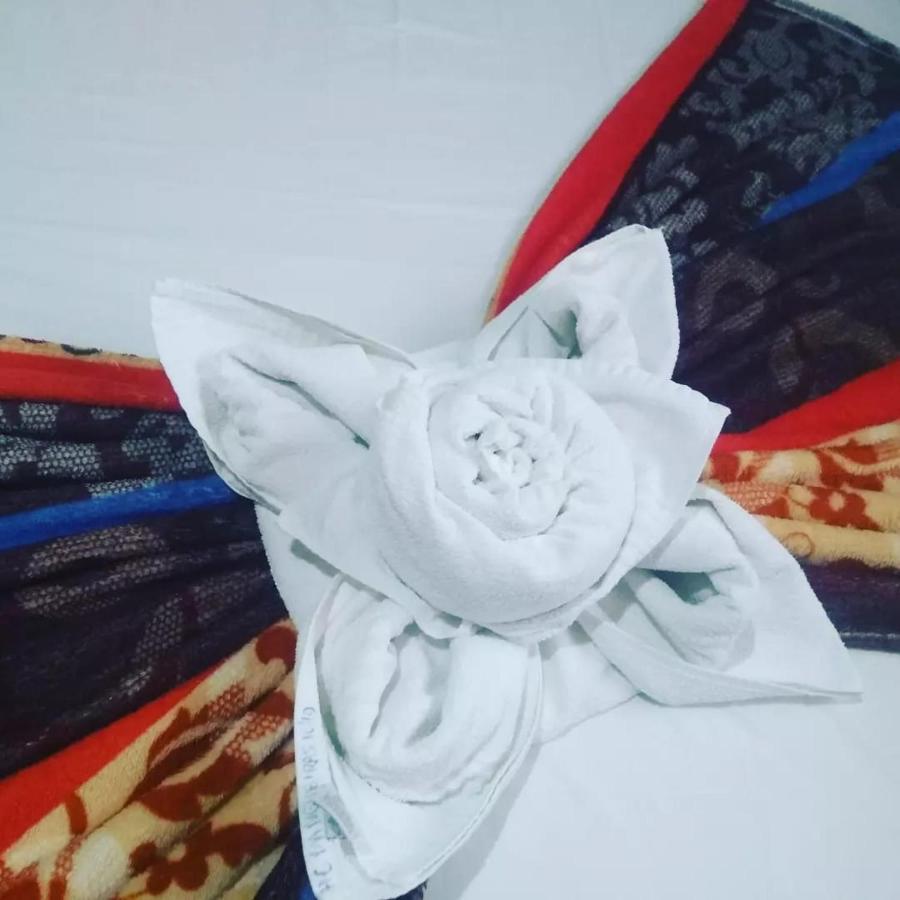Pousada Das Mangueiras Brilho Da Noite 산타나 도 리아초 외부 사진